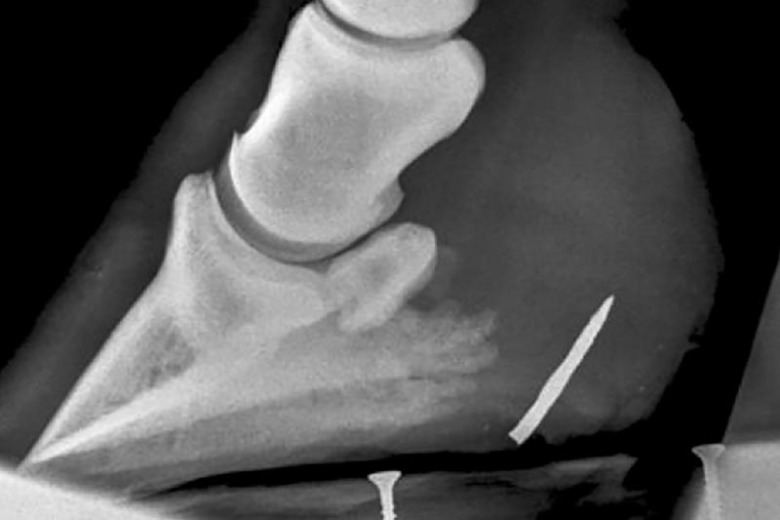 Så hanterar du spiktramp