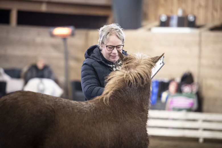 Långläsning: Nostalgitripp med Nina Bergholtz