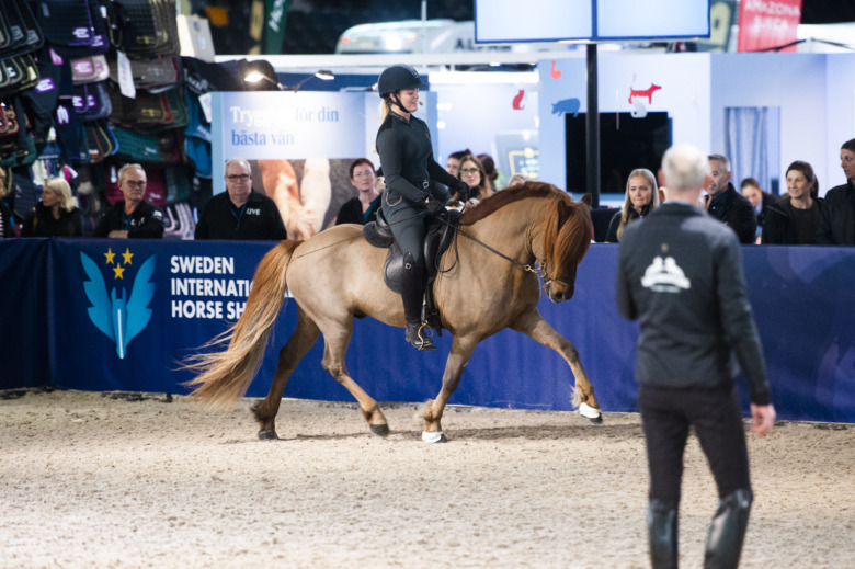Friends: Det händer under fredagen