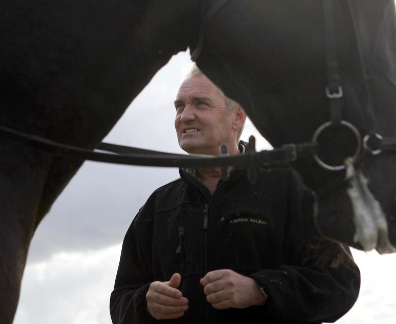 Etologen: ”Använd hästen utan att missbruka den”