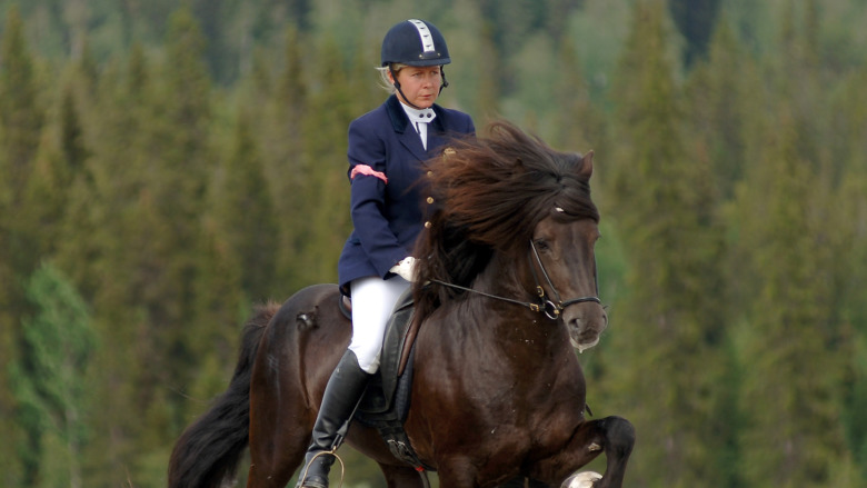 Heléne Blom: ”Jag föll för honom direkt”