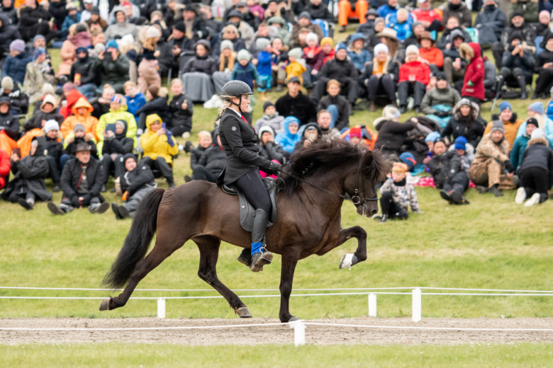 Loki frá Selfossi har gått ur tiden