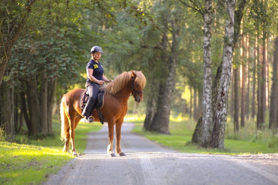 Malin Schöns blogg: Att skola sin häst på bettlöst träns