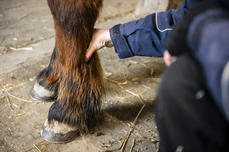 Senskador: Faktorer som ökar risken och hur du kan förebygga skada