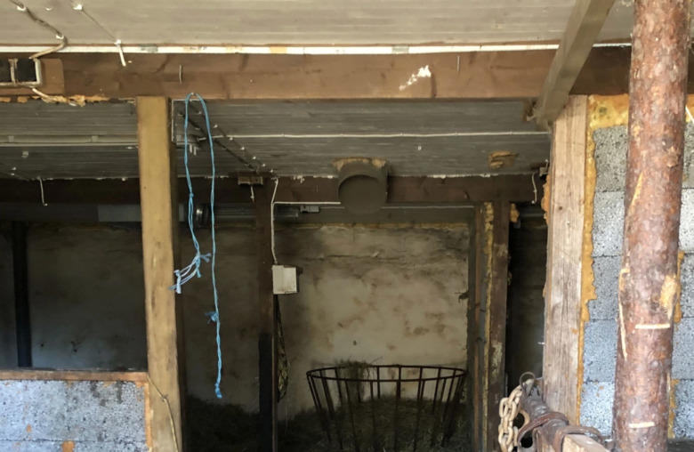 Hästen gick ensam och stallet var farligt