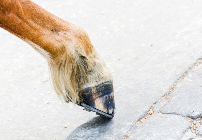 Gaffelbandsskada kräver lång rehab