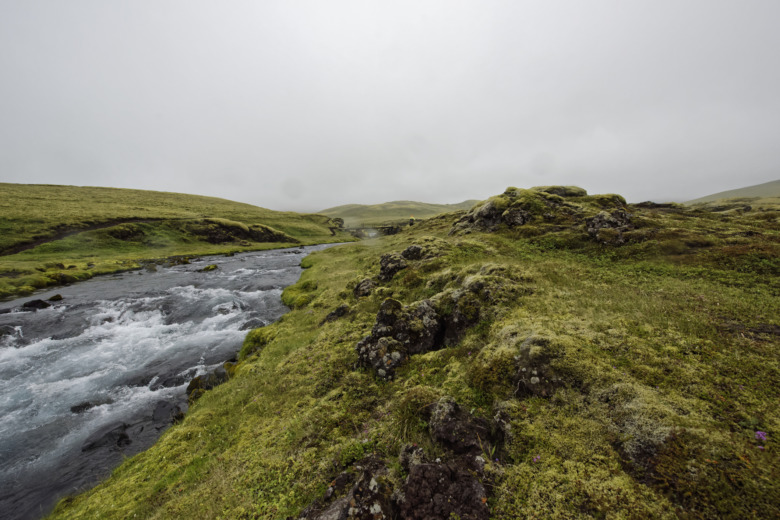 Álfadis frá Selfossi död