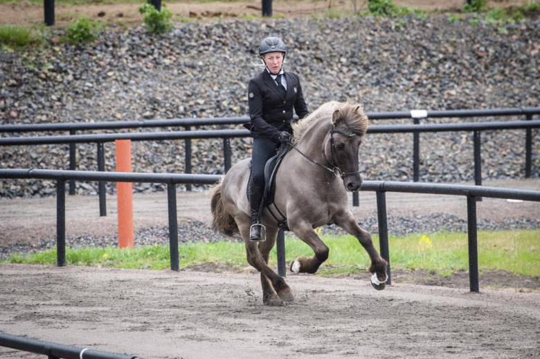 Johanna Asplund: ”Huvudsaken är en bra kommunikation”