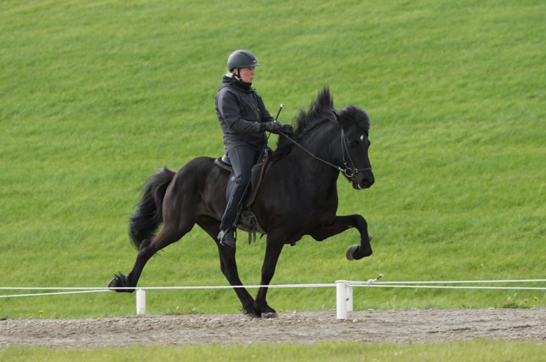 Nytt världsrekord i avel