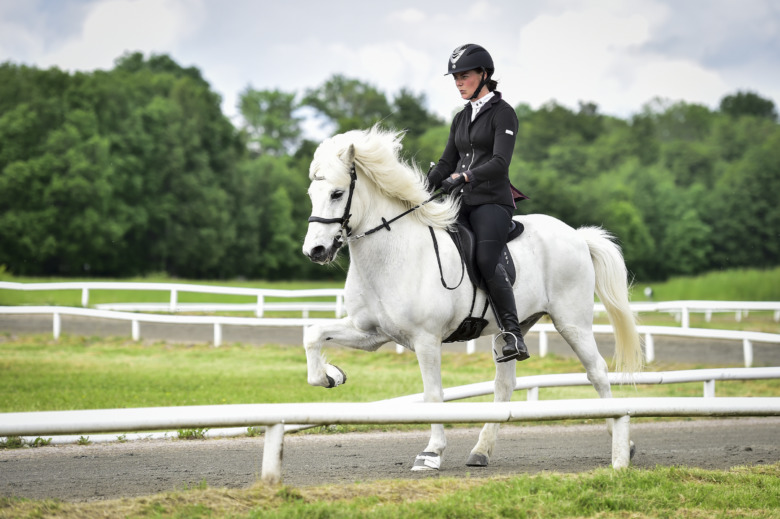 Så gick uttagningen i seniorernas T2