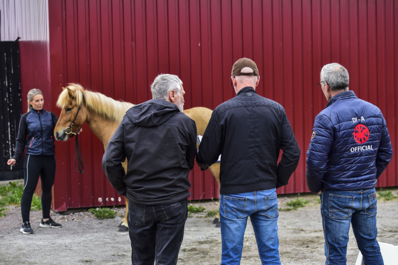 25 hästar anmälda till avelsbedömningen på Wången