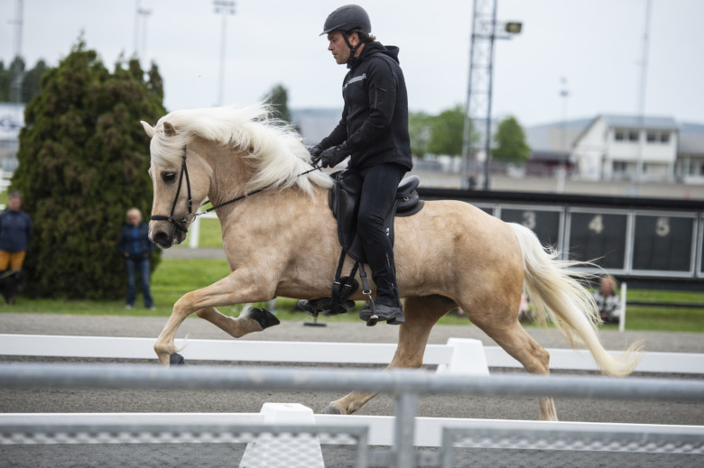 Romme: Flera 9:or utdelade