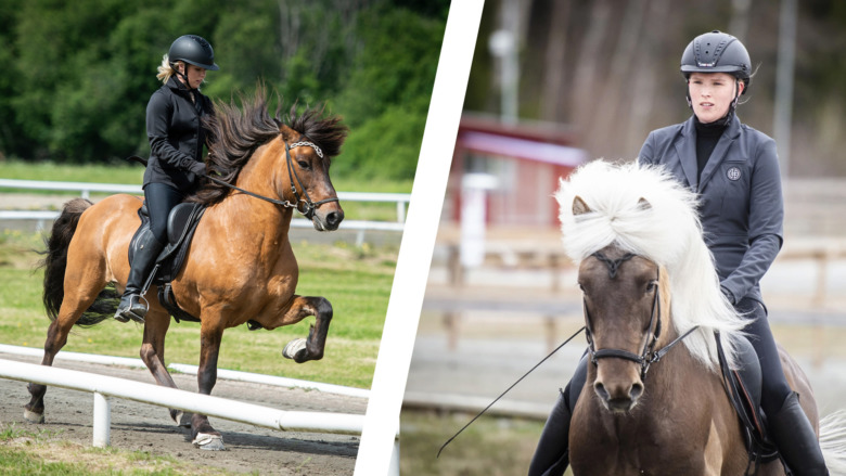 Dyggur Nivå 1: Så gick finalerna