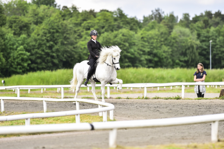 Allt du behöver veta inför World Toelt