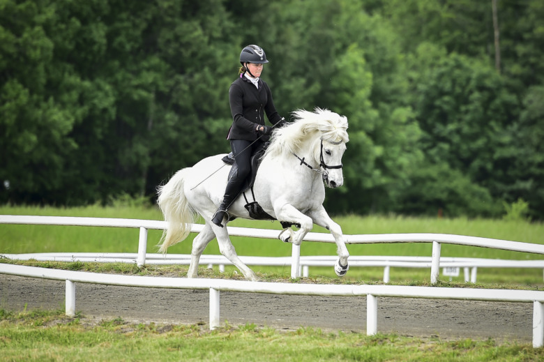 Finalen av Sweden Icelandichorse Cup avgjord