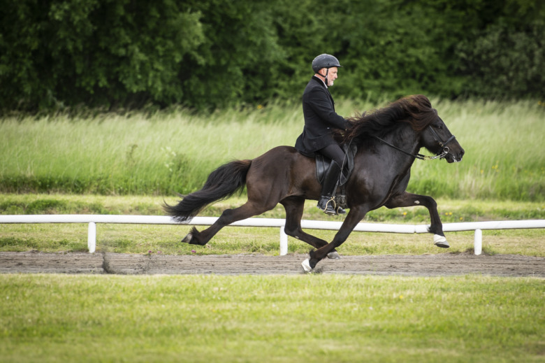 Wången open: De sista kvalen inför SM