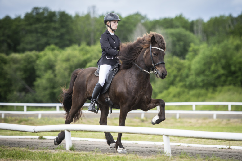 Sundabakki Vår avslutades med höga poäng