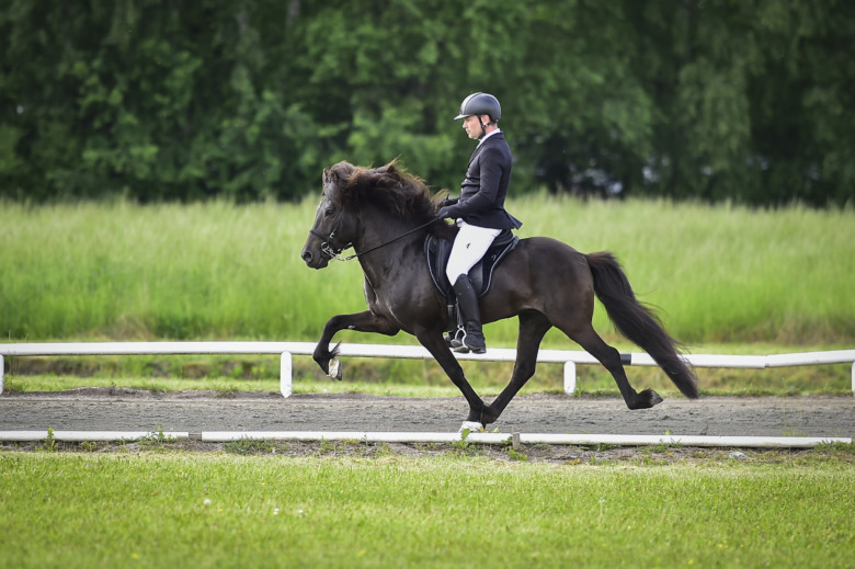 Små skillnader i toppen på Marma Torps GK-kval