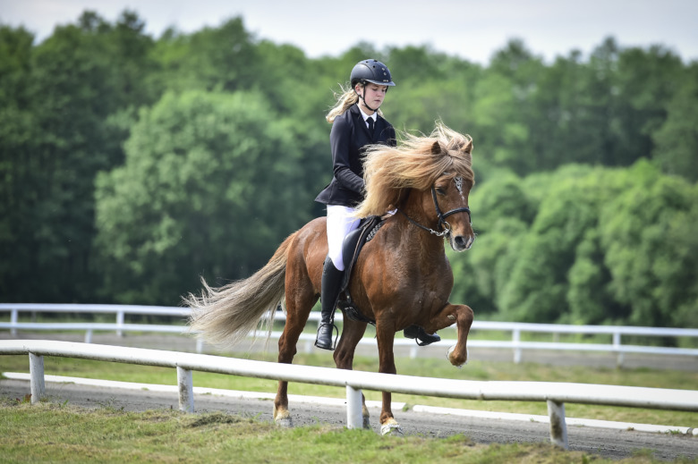 ”Vi ska bli ett så bra team som möjligt”