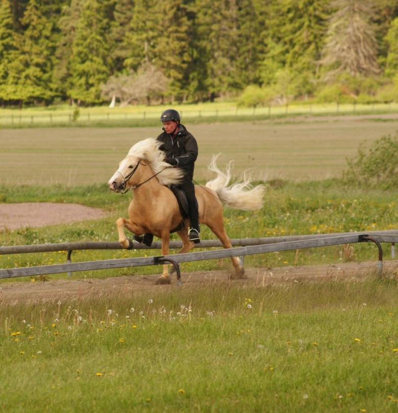 Reynir Aðalsteinsson: ”Jag vet inte om jag hade suttit upp på honom idag”