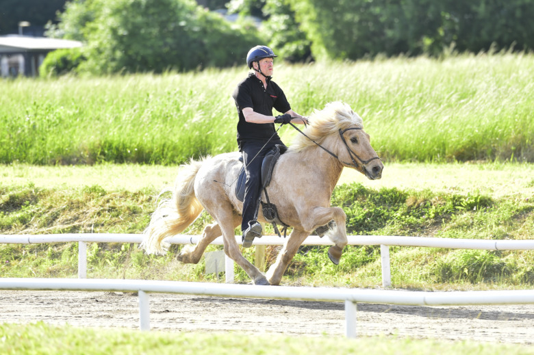 Så gick lördagens pass på Sundbyholm