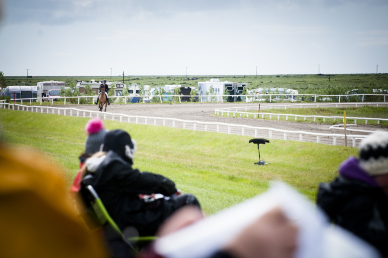 Så sänds de svenska avelsbedömningarna 2026