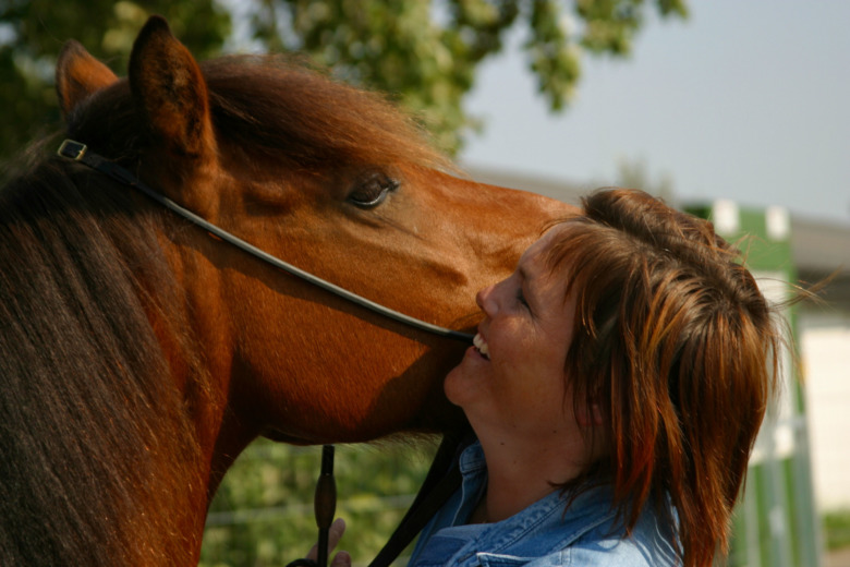 Ia Lindholm om hästarna som fastnat i hjärtat