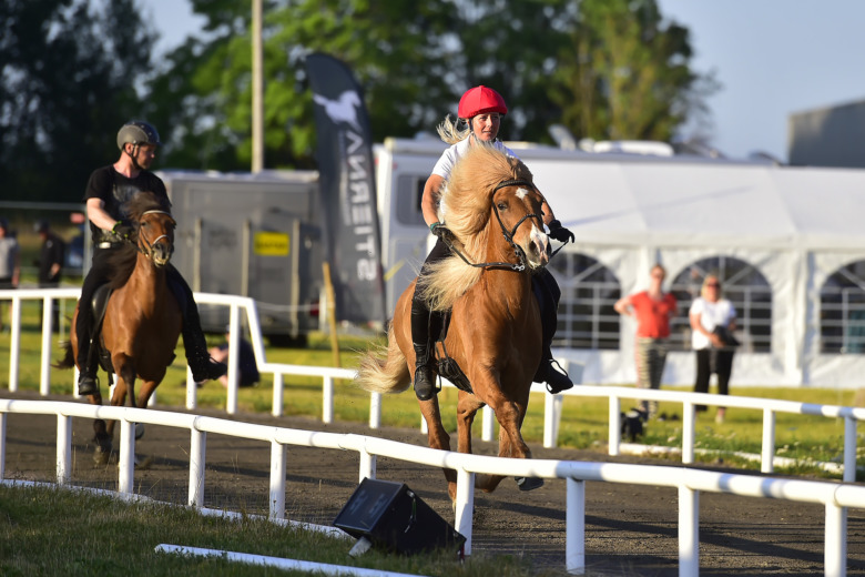 Pass: Helena Adalsteinsdottir och Daniel Ingi Smárason i topp