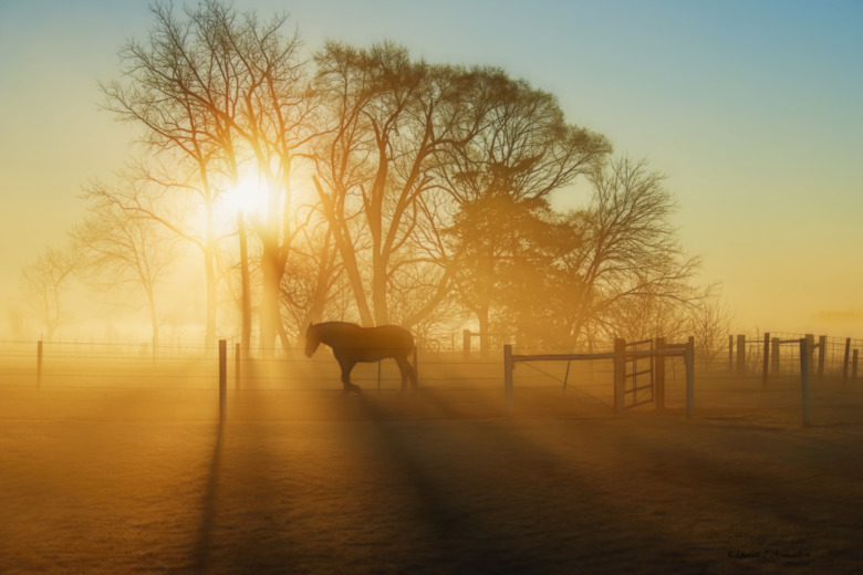 De leder inför avgörandet av lag-SM