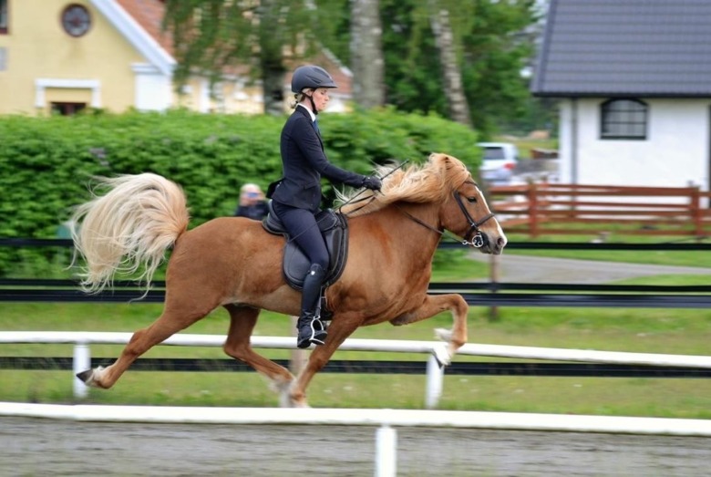 ”Jag tror att vi kommer specialisera oss på stilpass”