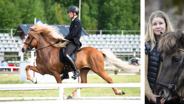Hur gör vi årets islandshästfest ”great again”?