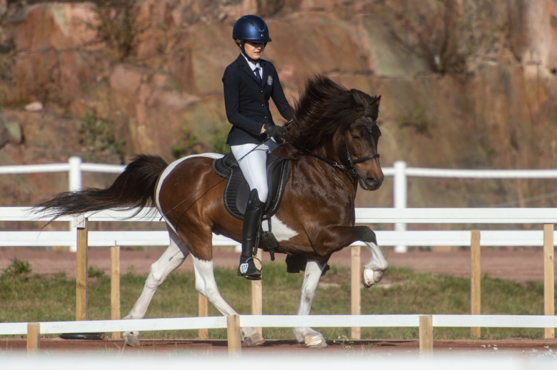 NM: ”Vi gick in med ett helt annat självförtroende”