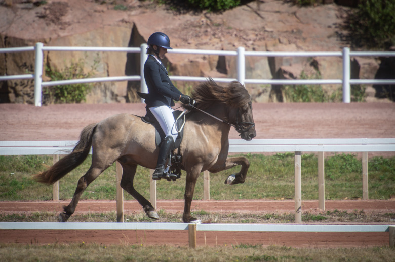 NM 2022: Svenskt i topp under tisdag förmiddag