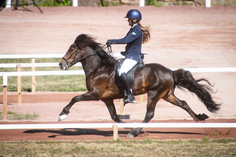 NM: Femgångsekipagen levererade