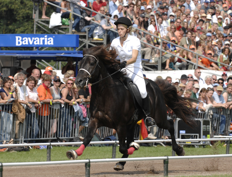 Mjölnir frá Dalbæ är död