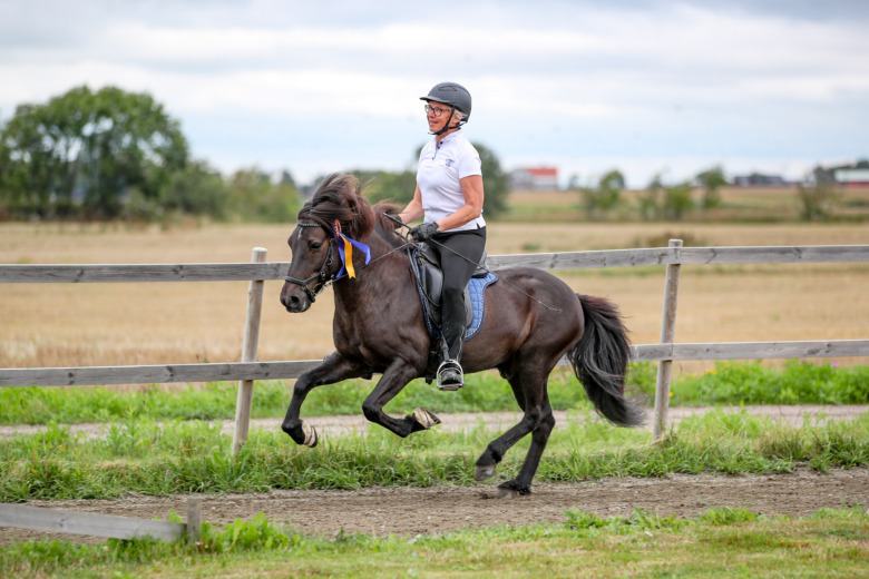 Antikrundan – tävlingen som är skräddarsydd för de äldre