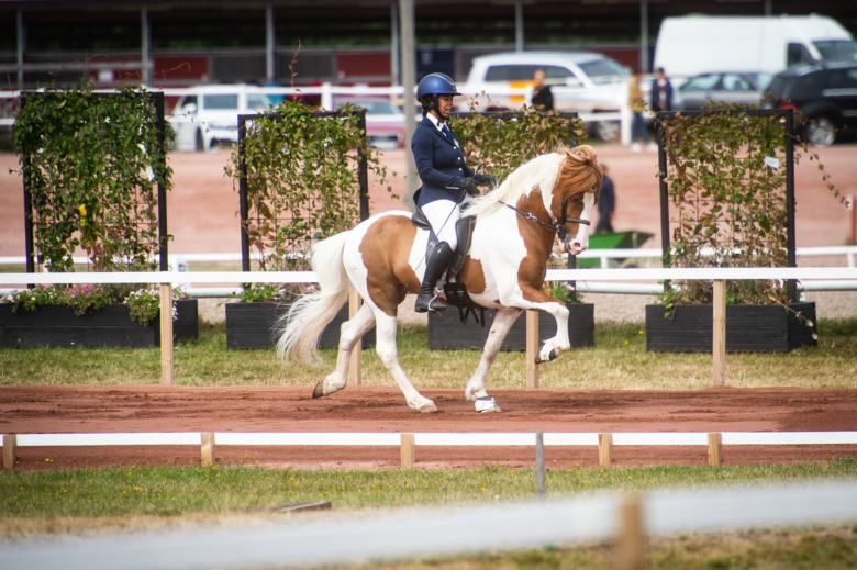 NM: Fler svenskar in i b-finalen i V1