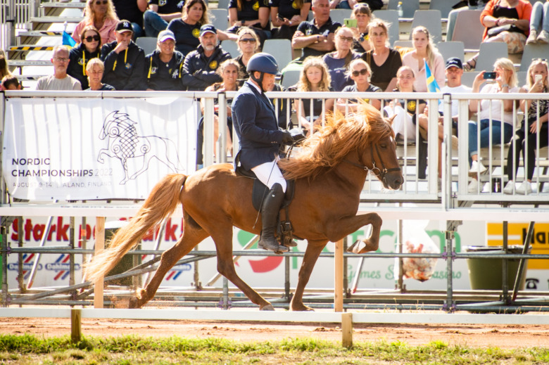 NM: Seniorerna hade svårt att rå på danskarna