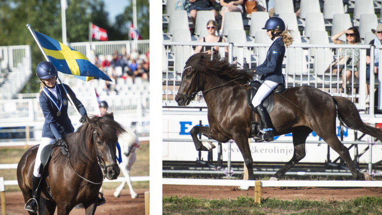 NM: Silver till Sverige i V1 junior