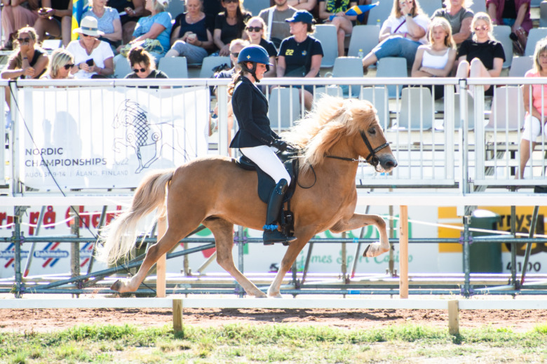 Silver och brons till Sverige i GDY