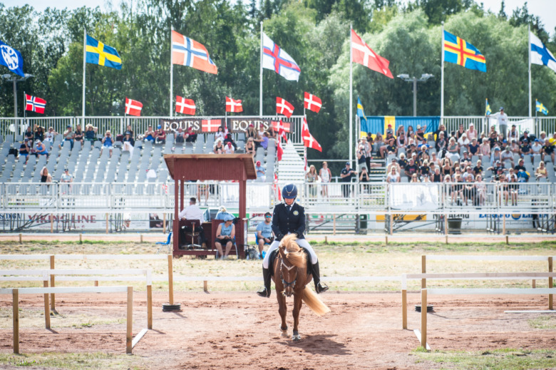 Dyra intyg krävs för att köra häst över gränsen
