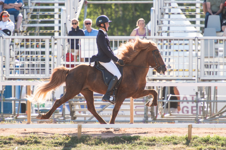 NM: Oskar Fornstedt vidare till a-final