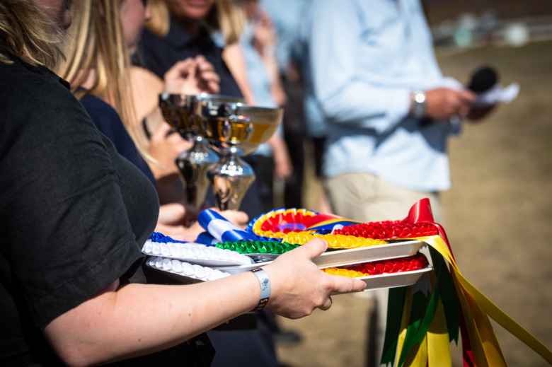 Norska islandshästförbundet söker statligt stöd