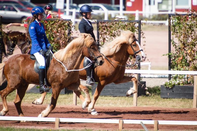 NM: Saga Berggren vinner B-finalen