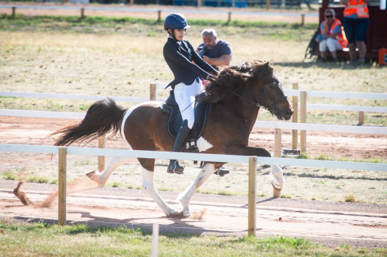 Flera kombinationsmedaljer till Sverige