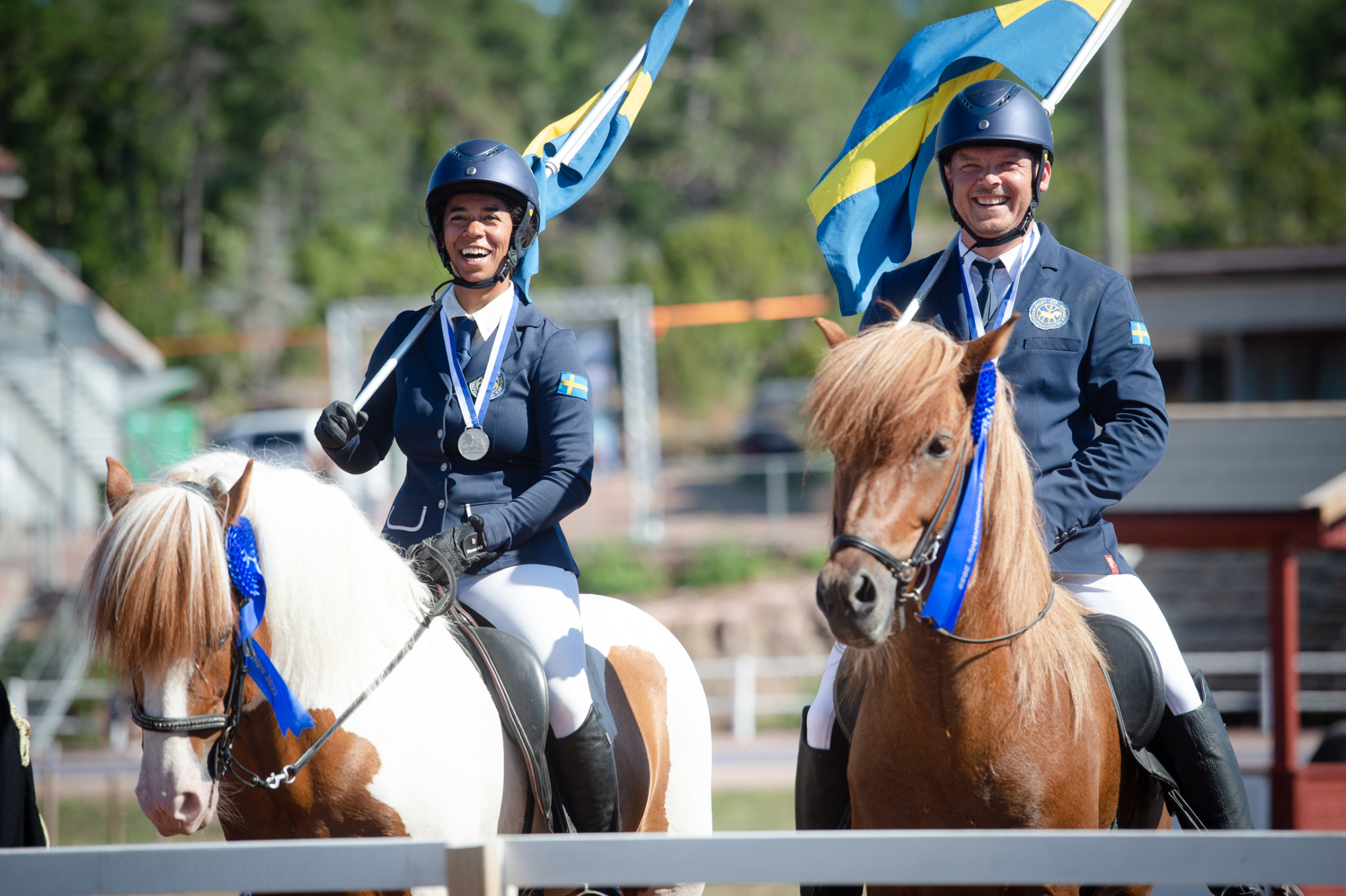 islandsh-stfest-p-sweden-international-horse-show-ridsport-island
