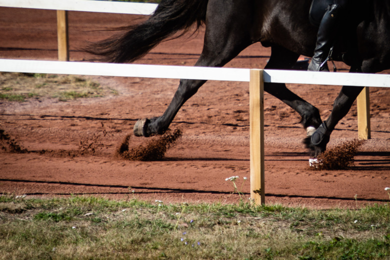Underlaget på NM får kritik