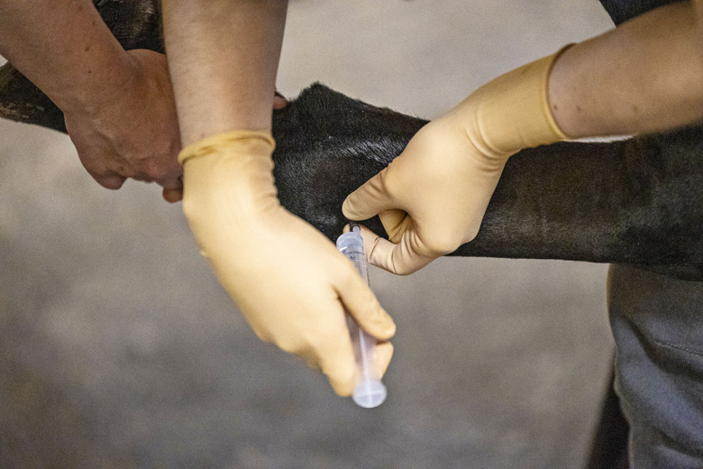 Ridsport Play: Alternativ till sprutor