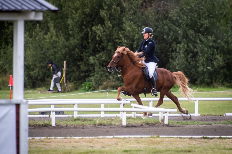 Kvalkväll med kvalitet: Flera ekipage levererade i GK