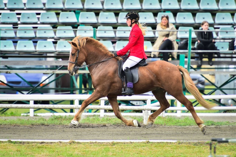 GK-SM: Josephine Williams med Kristófer vann GDT
